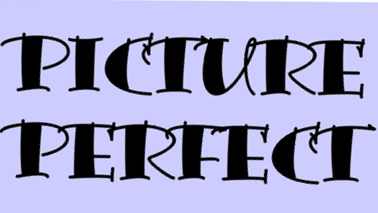 Picture Perfect logo